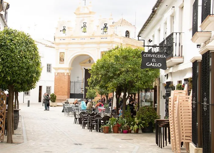 ホテル Hacienda La Divertida ボルノス