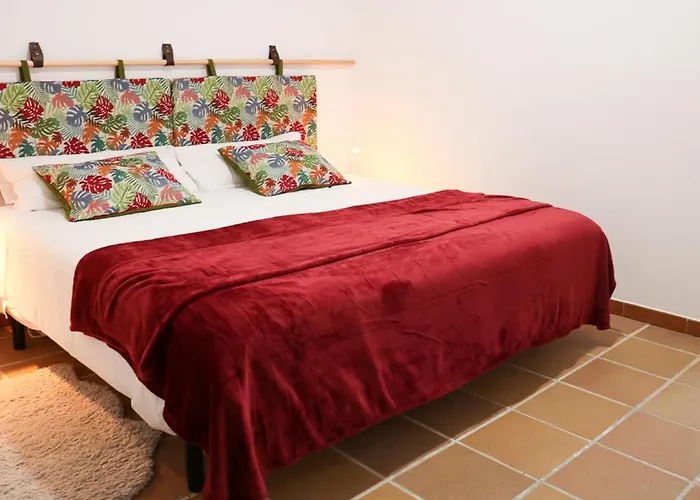 ホテル Hacienda La Divertida