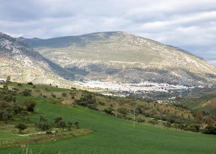Hacienda La Divertida ホテル